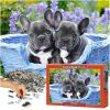 puzzle francoski buldog