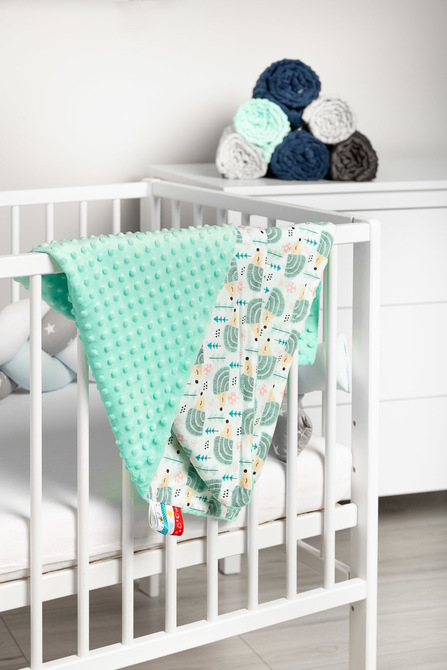 Lahka Minky Odeja - Ježi mint 75x100