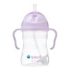 STEKLENICA S SLAMICO BOYSENBERRY BB00518