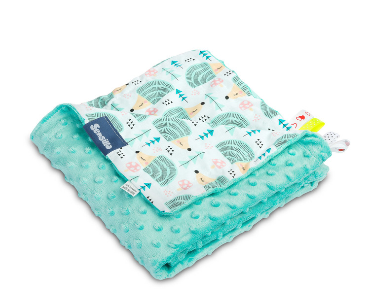 Lahka Minky Odeja - Ježi mint 75x100