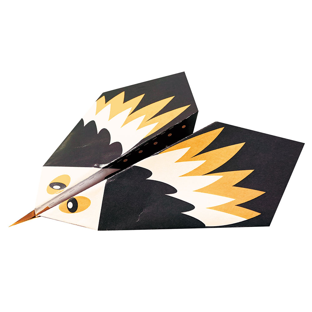 Vsakodnevno ustvarjanje - Origami letalo