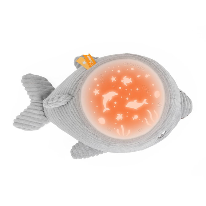 Delfin s projektorjem